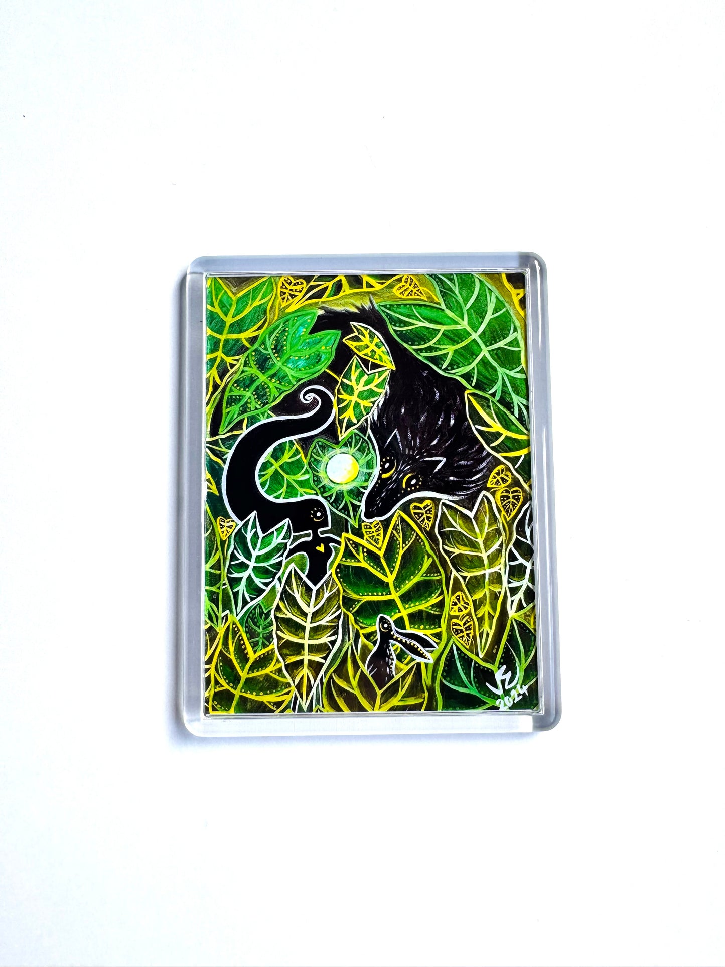 Plexi magnet / Mágnes plexi tokkal