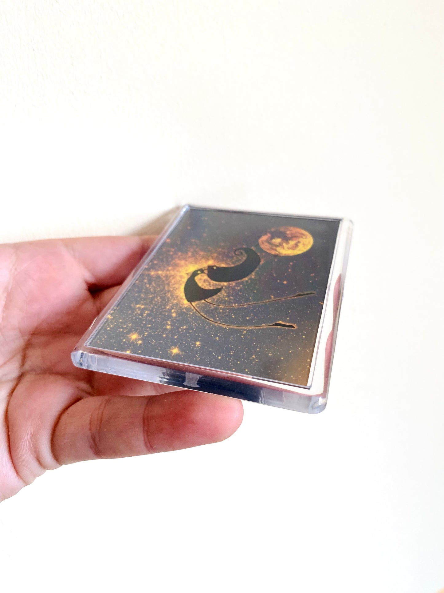 Plexi-Magnet / Magnet-Plexi-Tokkal