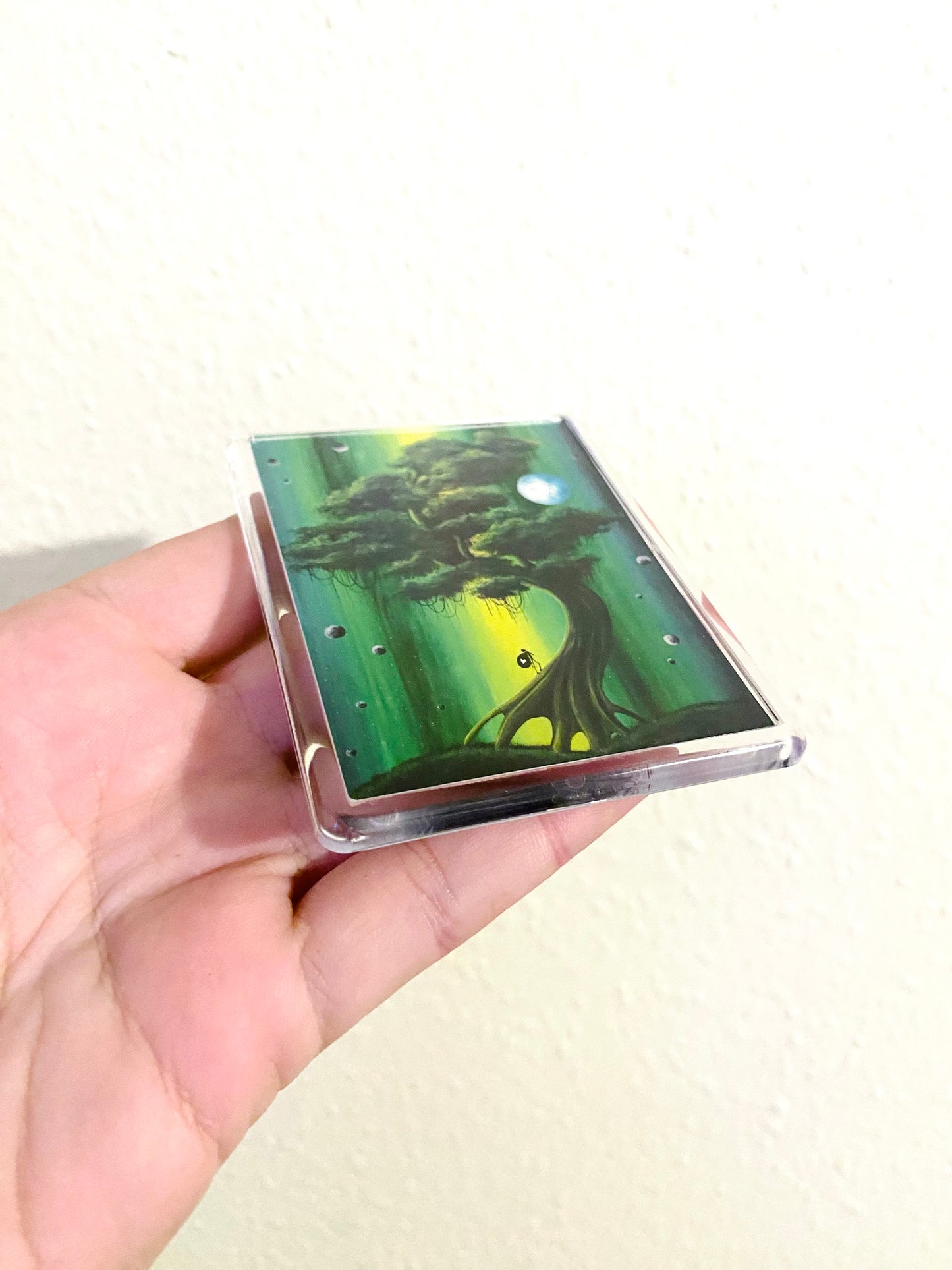 Plexi-Magnet / Magnet-Plexi-Tokkal