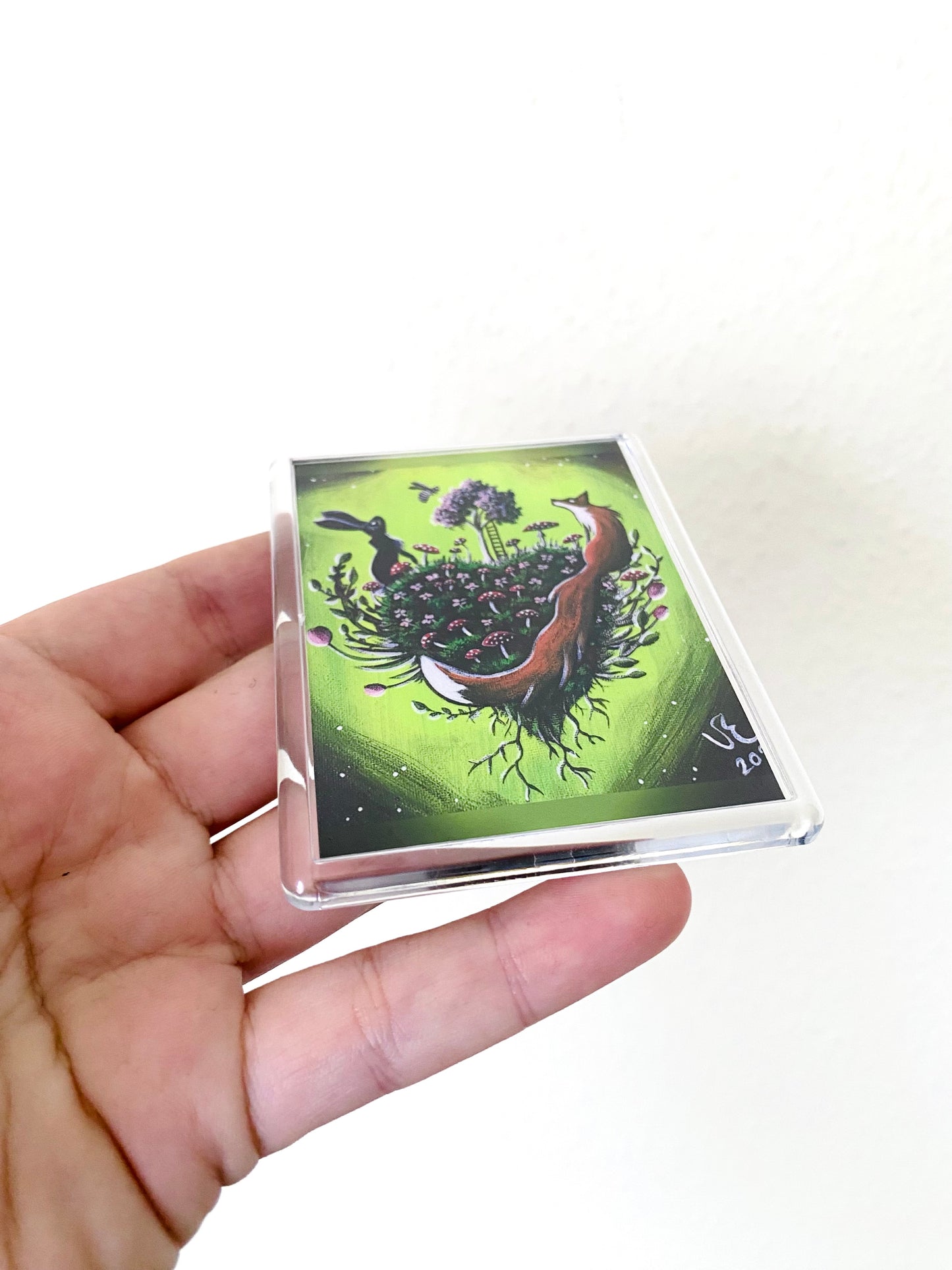 Plexi-Magnet / Magnet-Plexi-Tokkal