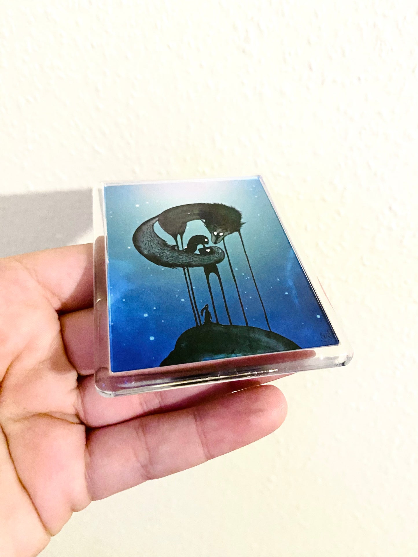 Plexi-Magnet / Magnet-Plexi-Tokkal