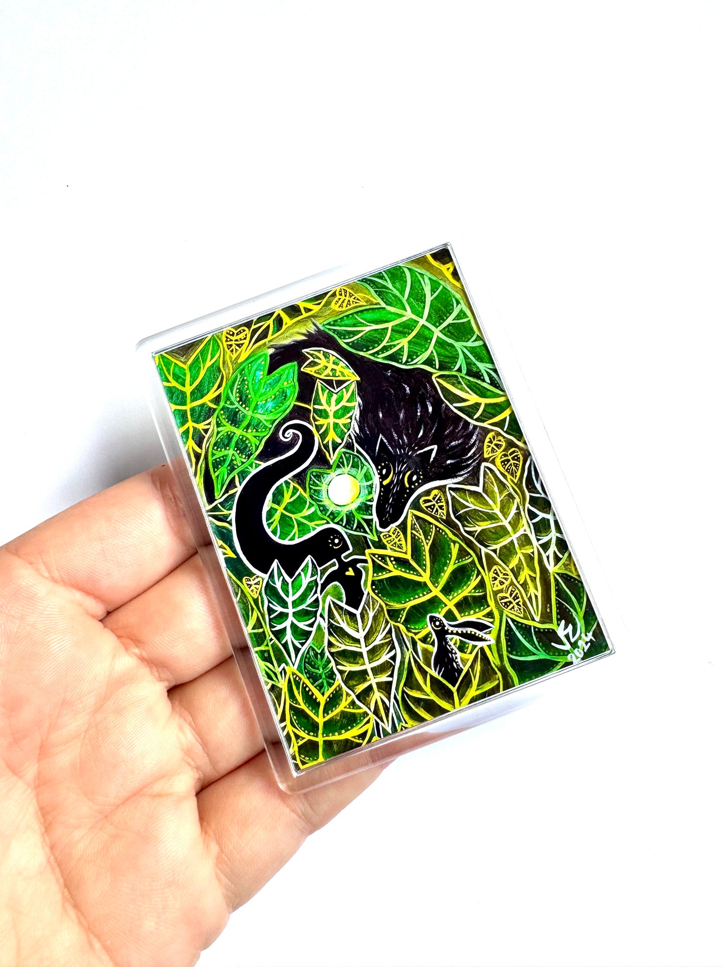 Plexi magnet / Mágnes plexi tokkal