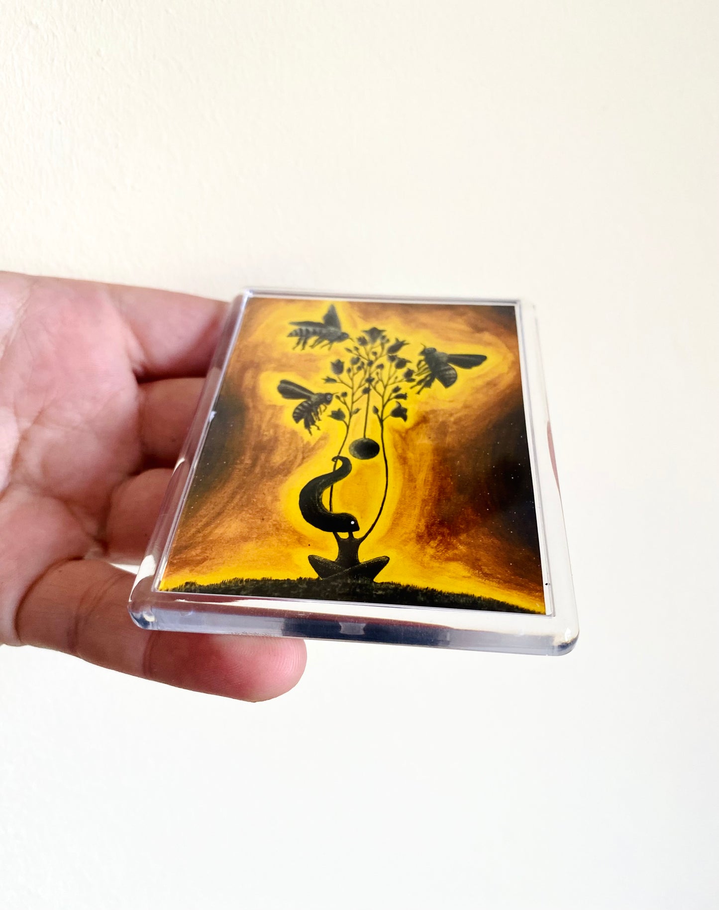 Plexi-Magnet / Magnet-Plexi-Tokkal
