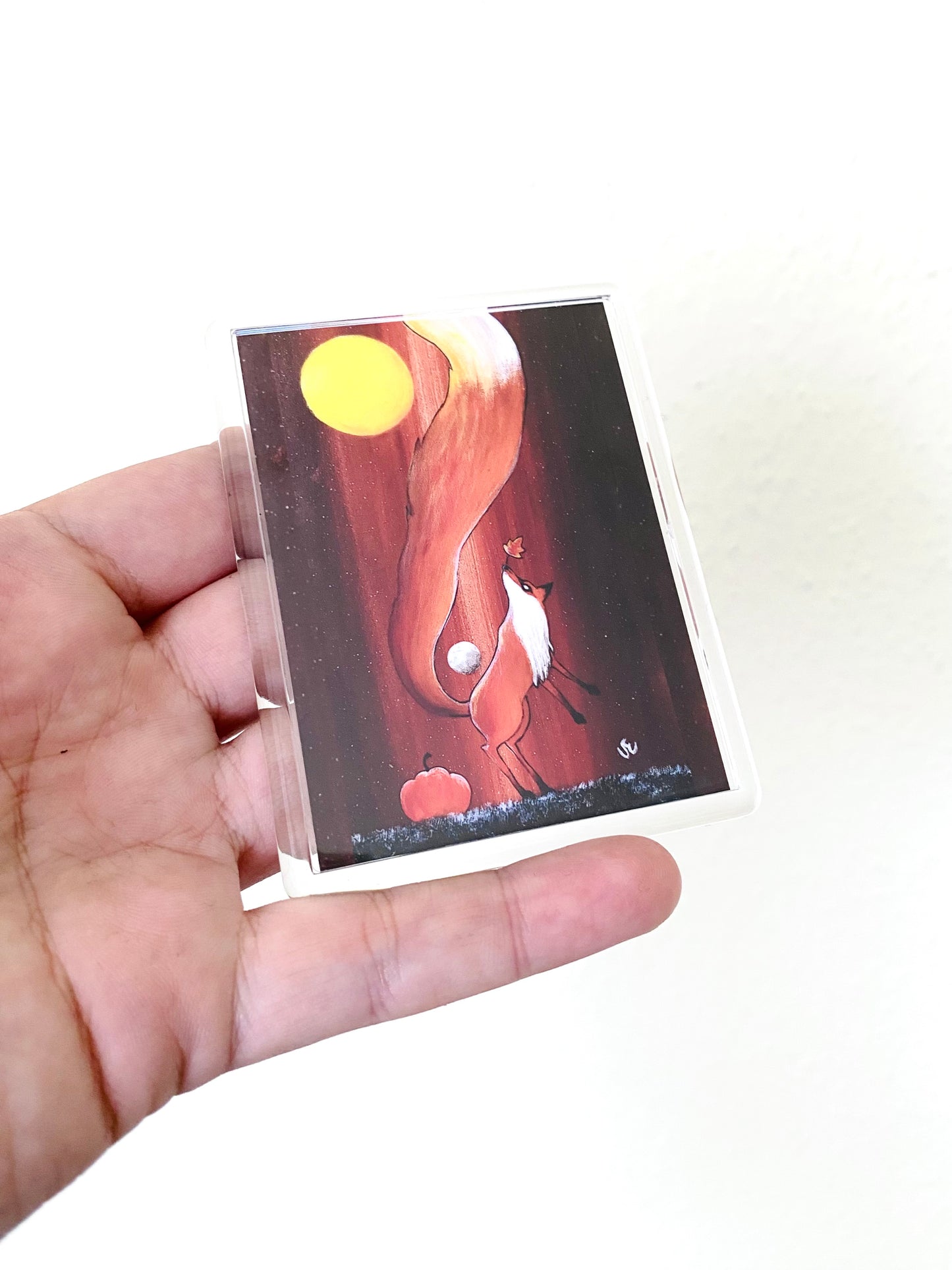 Plexi-Magnet / Magnet-Plexi-Tokkal