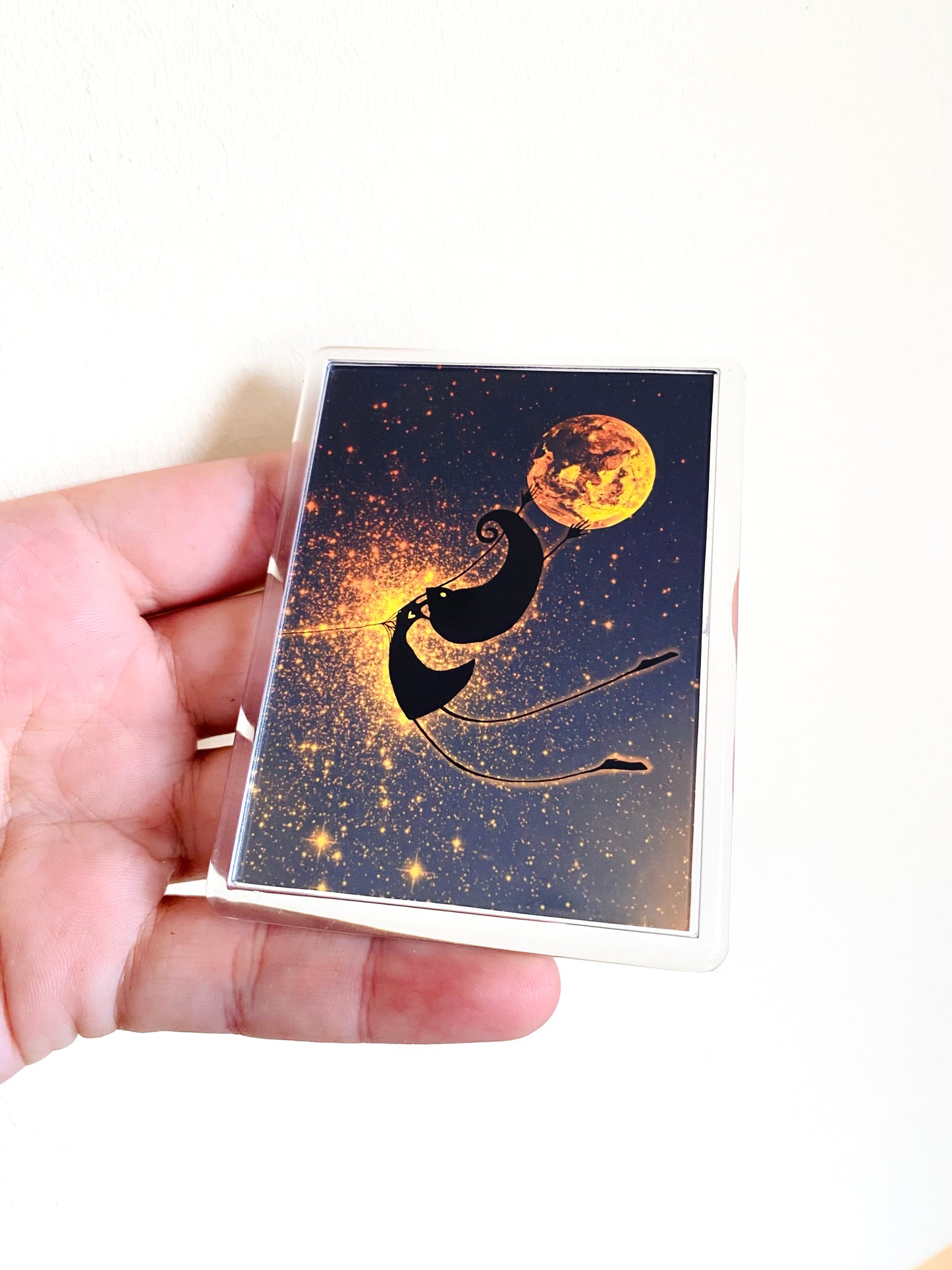 Plexi-Magnet / Magnet-Plexi-Tokkal