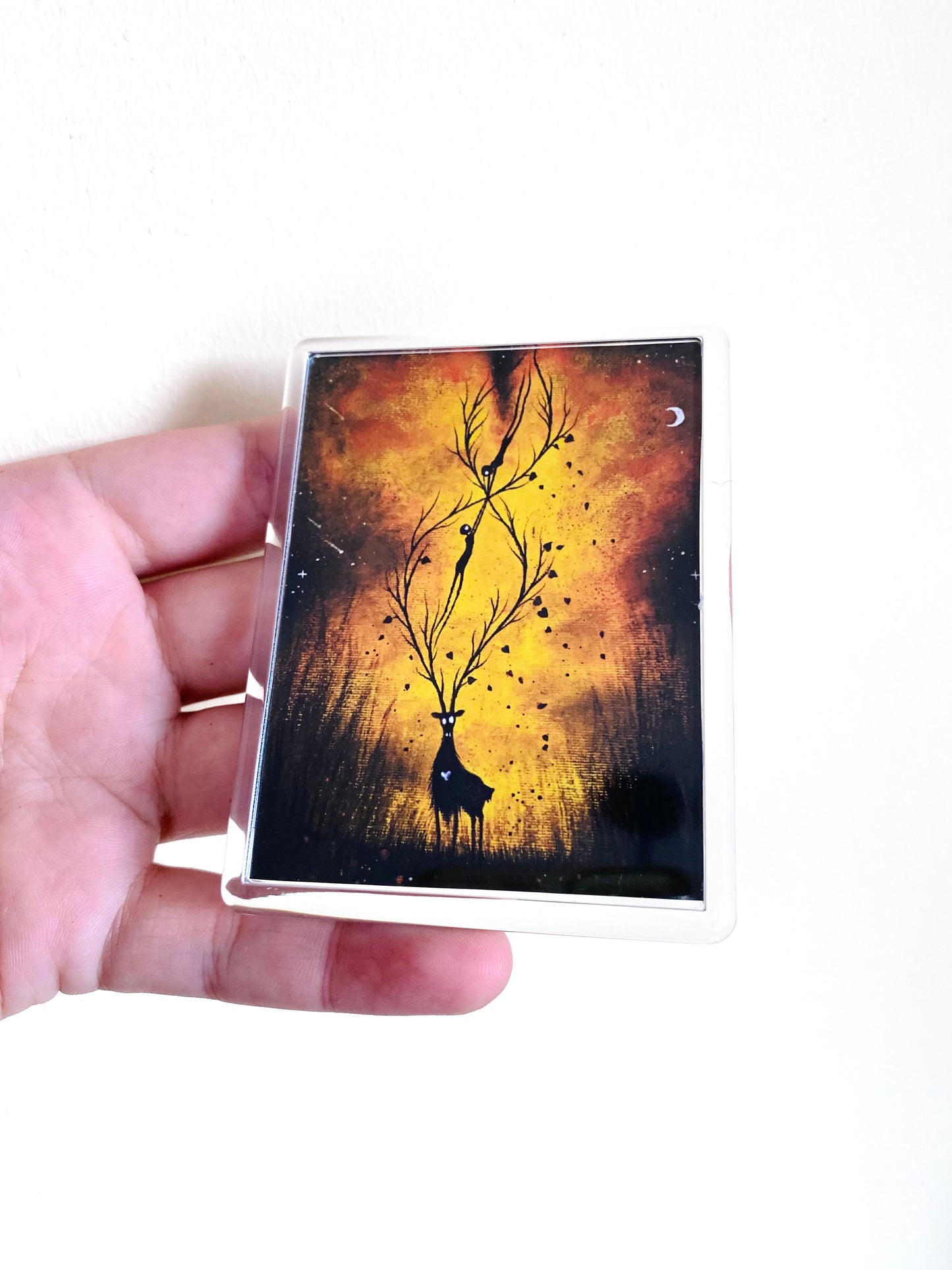 Plexi-Magnet / Magnet-Plexi-Tokkal