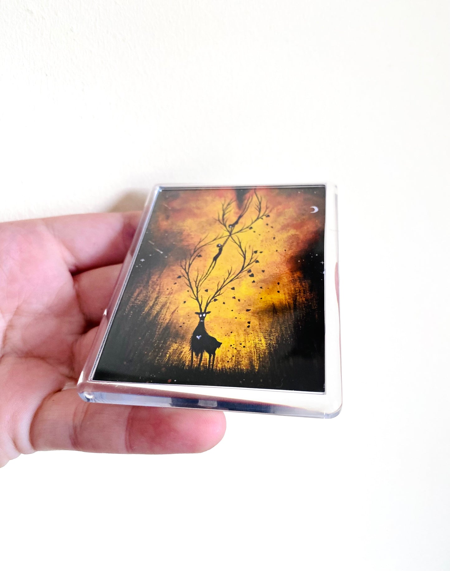 Plexi-Magnet / Magnet-Plexi-Tokkal
