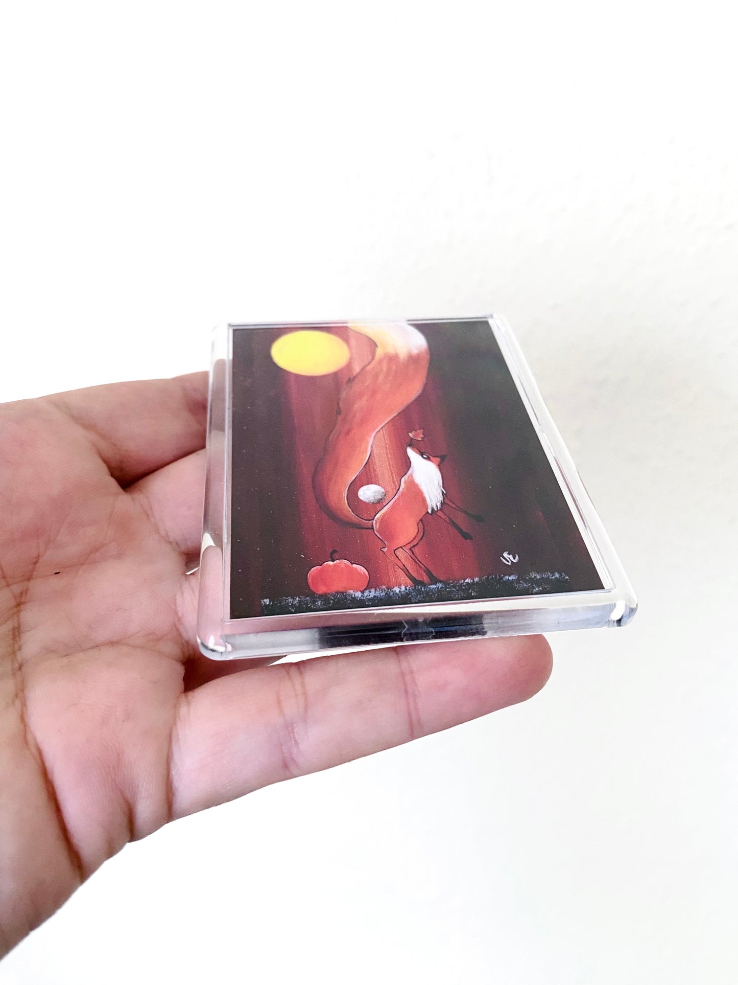 Plexi-Magnet / Magnet-Plexi-Tokkal