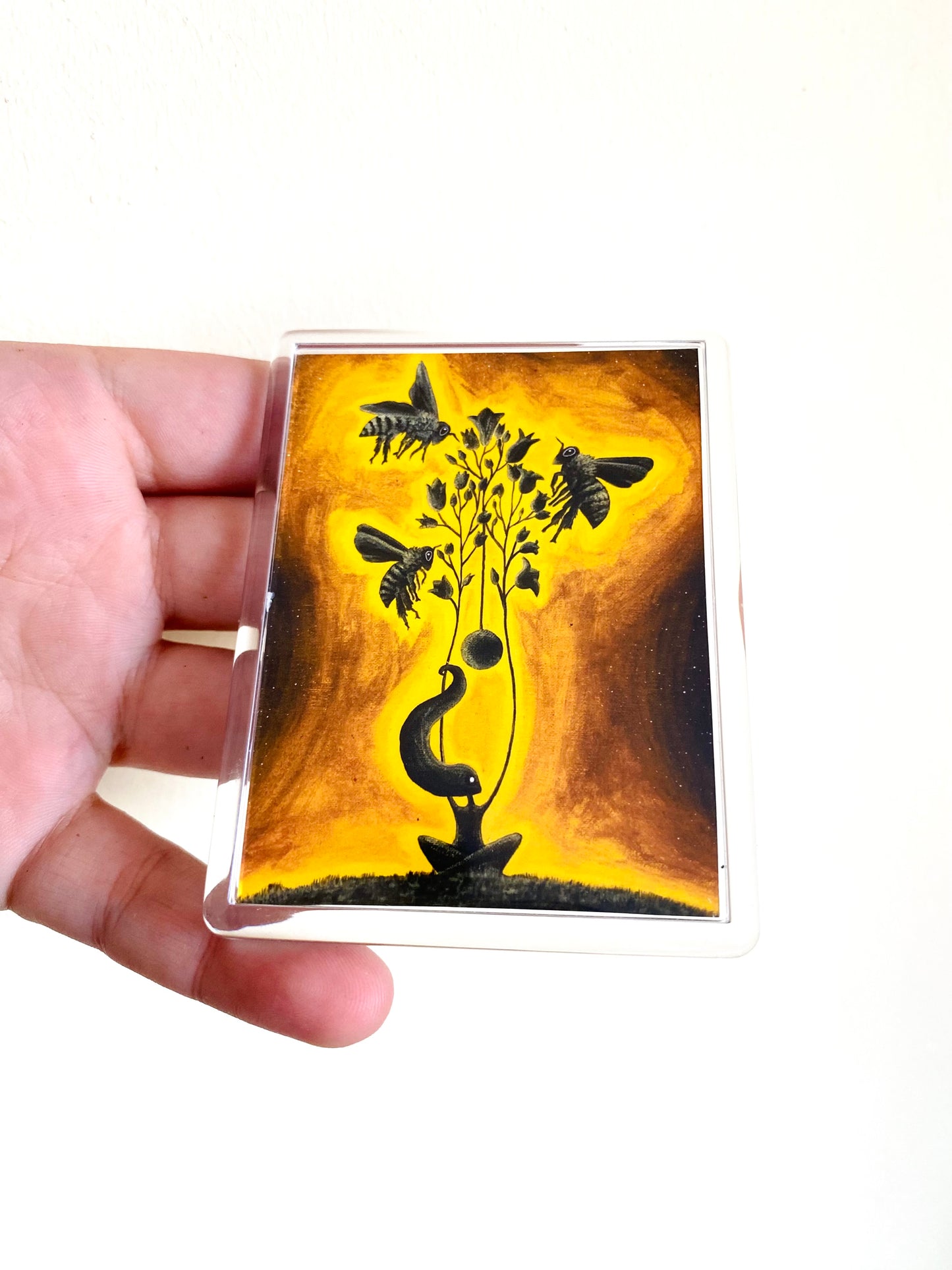 Plexi-Magnet / Magnet-Plexi-Tokkal