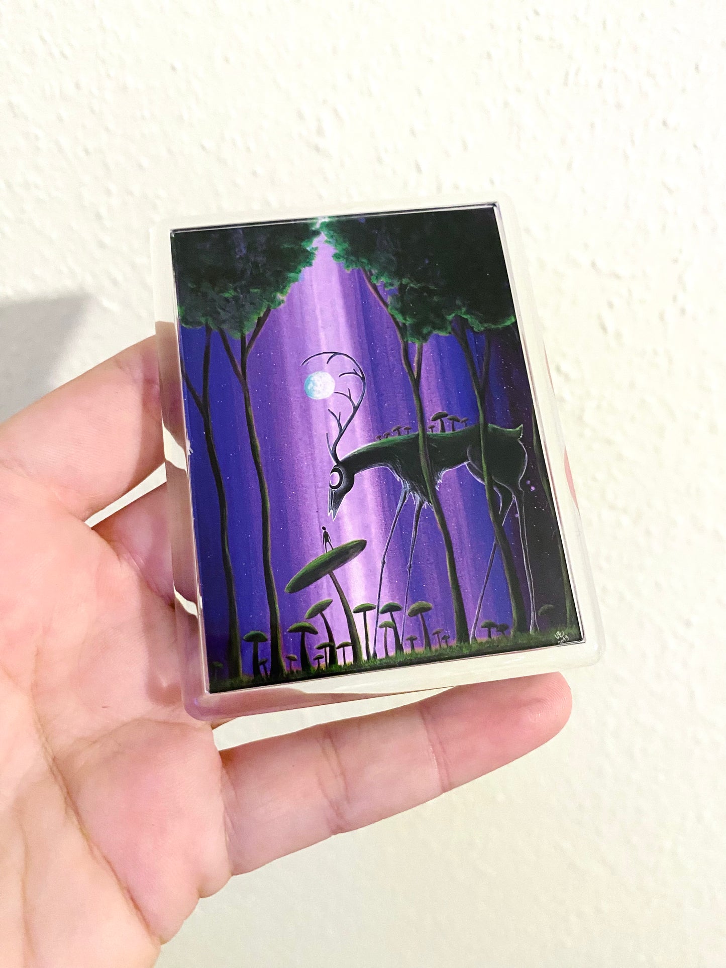 Plexi-Magnet / Magnet-Plexi-Tokkal
