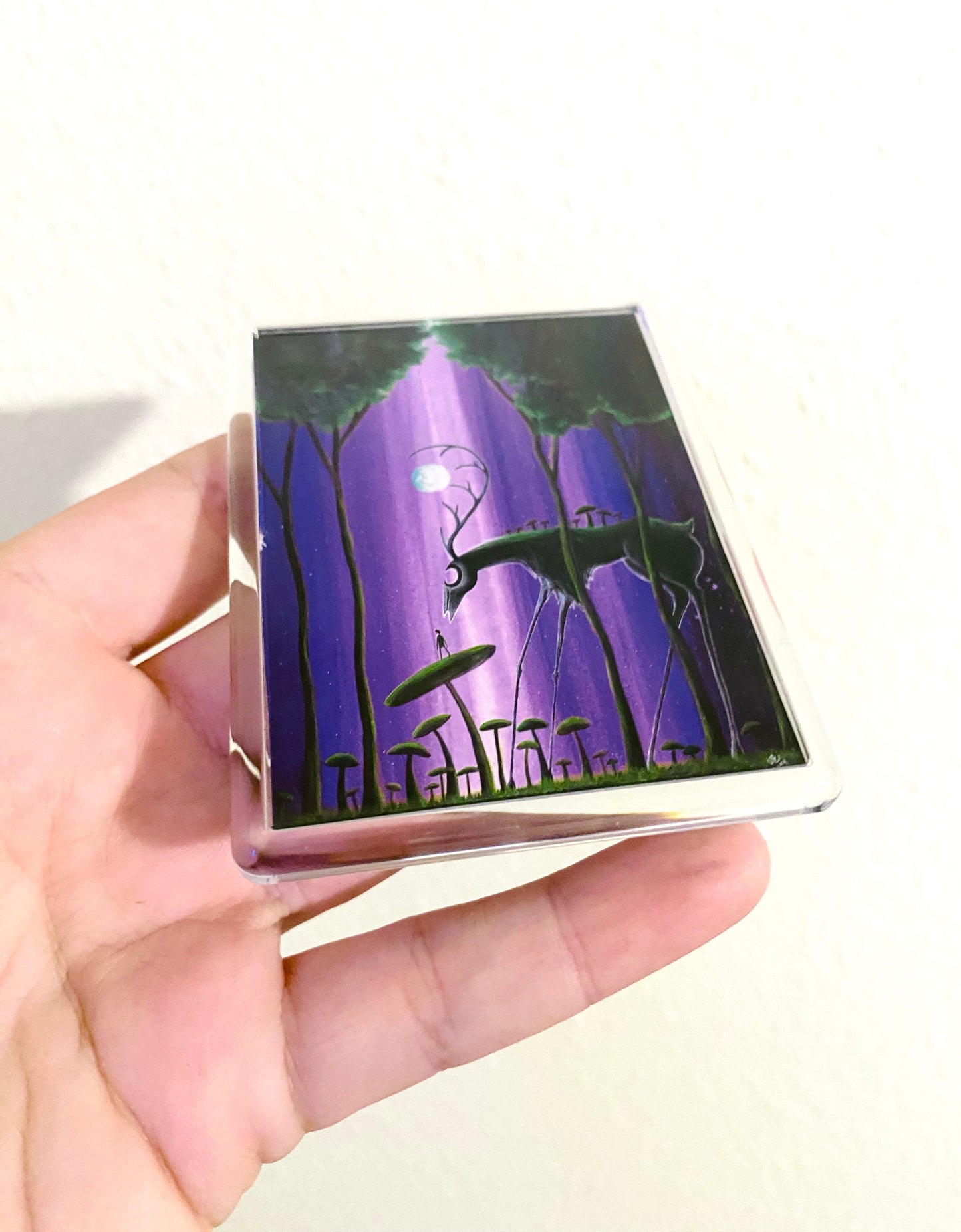 Plexi-Magnet / Magnet-Plexi-Tokkal