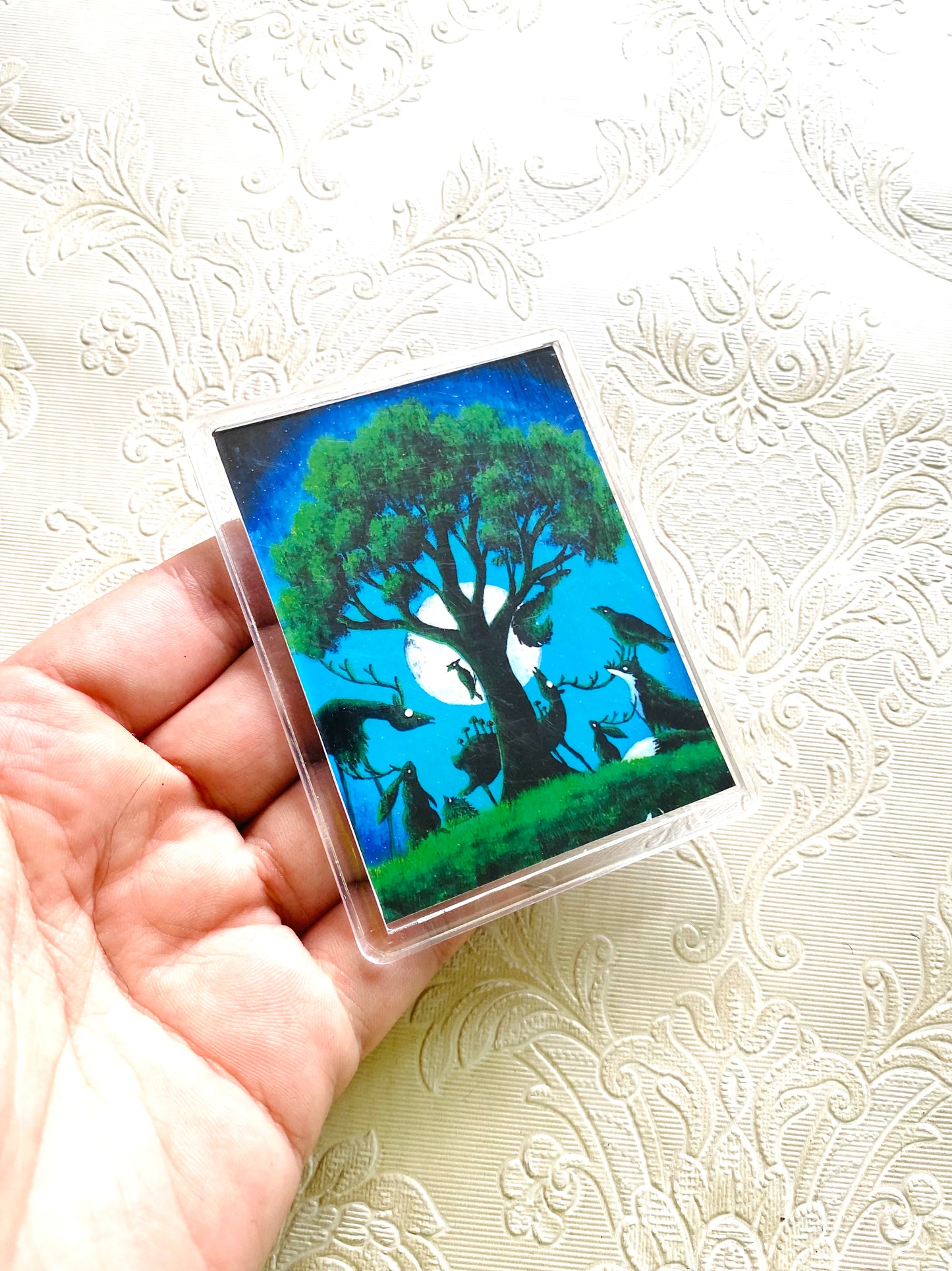 Plexi-Magnet / Magnet-Plexi-Tokkal