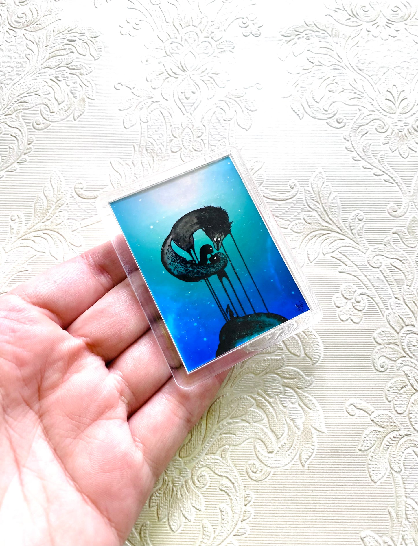 Plexi-Magnet / Magnet-Plexi-Tokkal