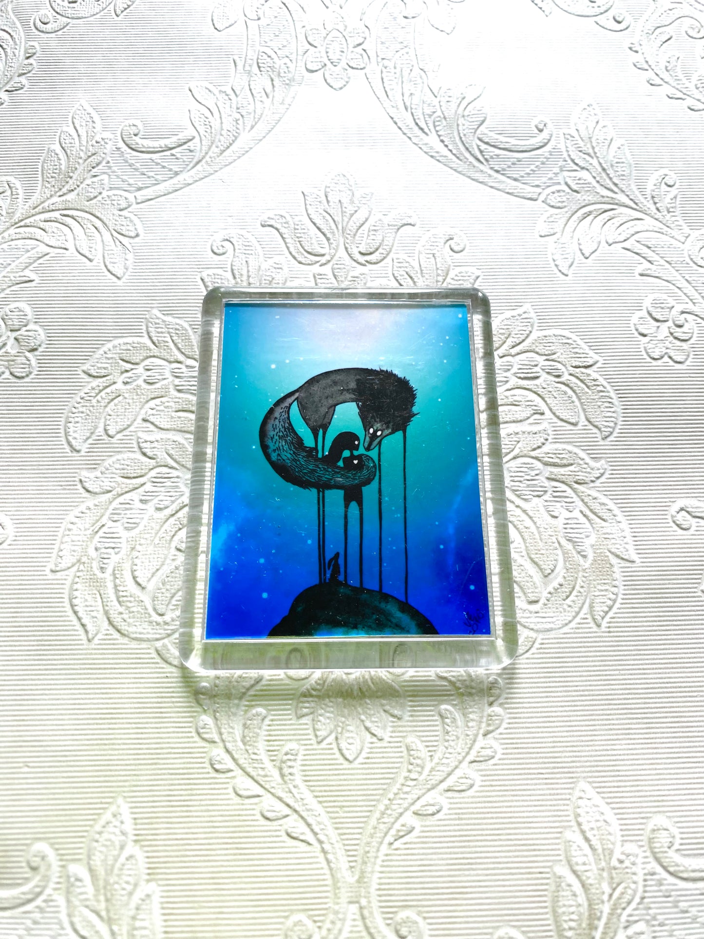 Plexi-Magnet / Magnet-Plexi-Tokkal