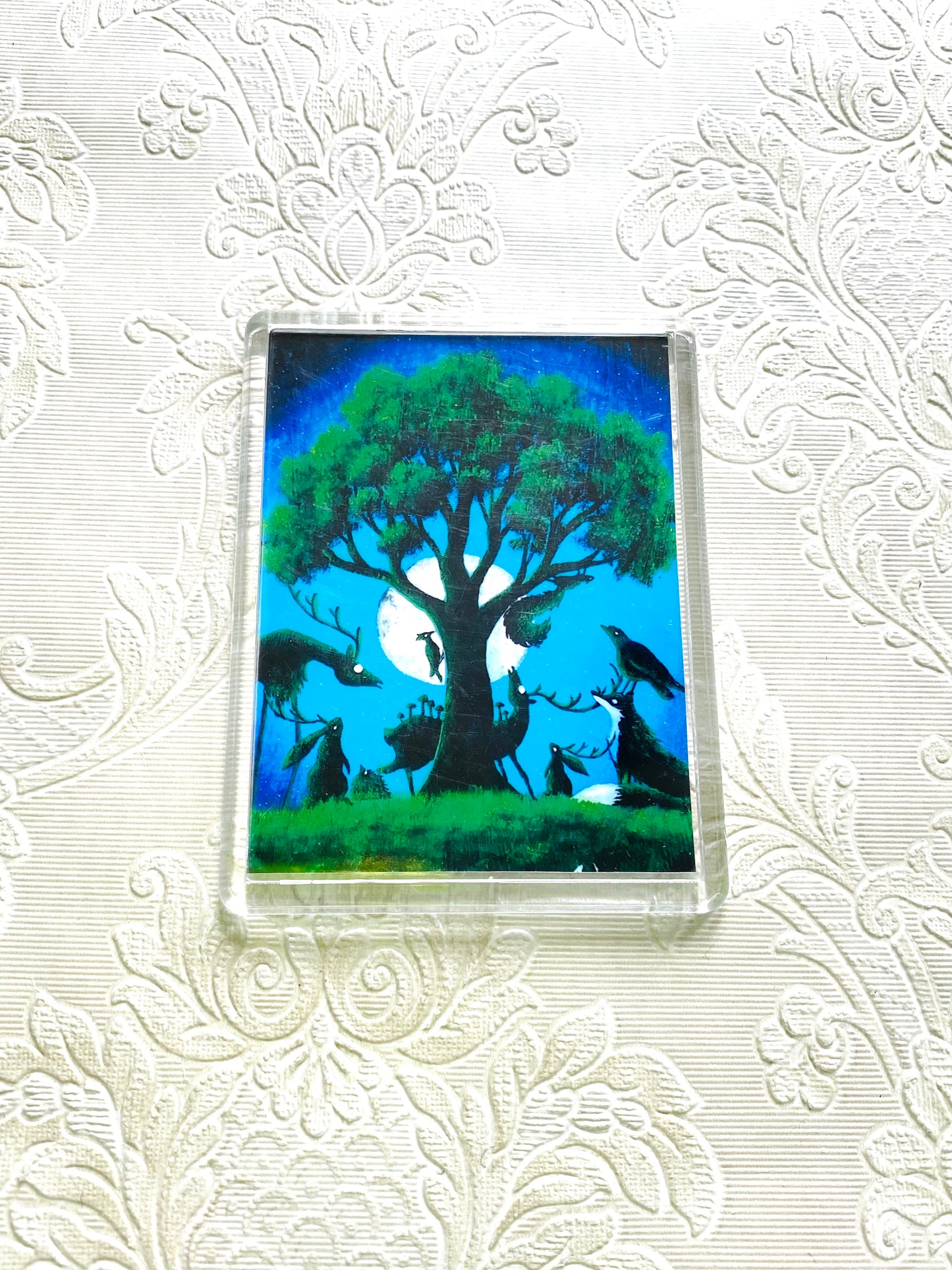 Plexi-Magnet / Magnet-Plexi-Tokkal