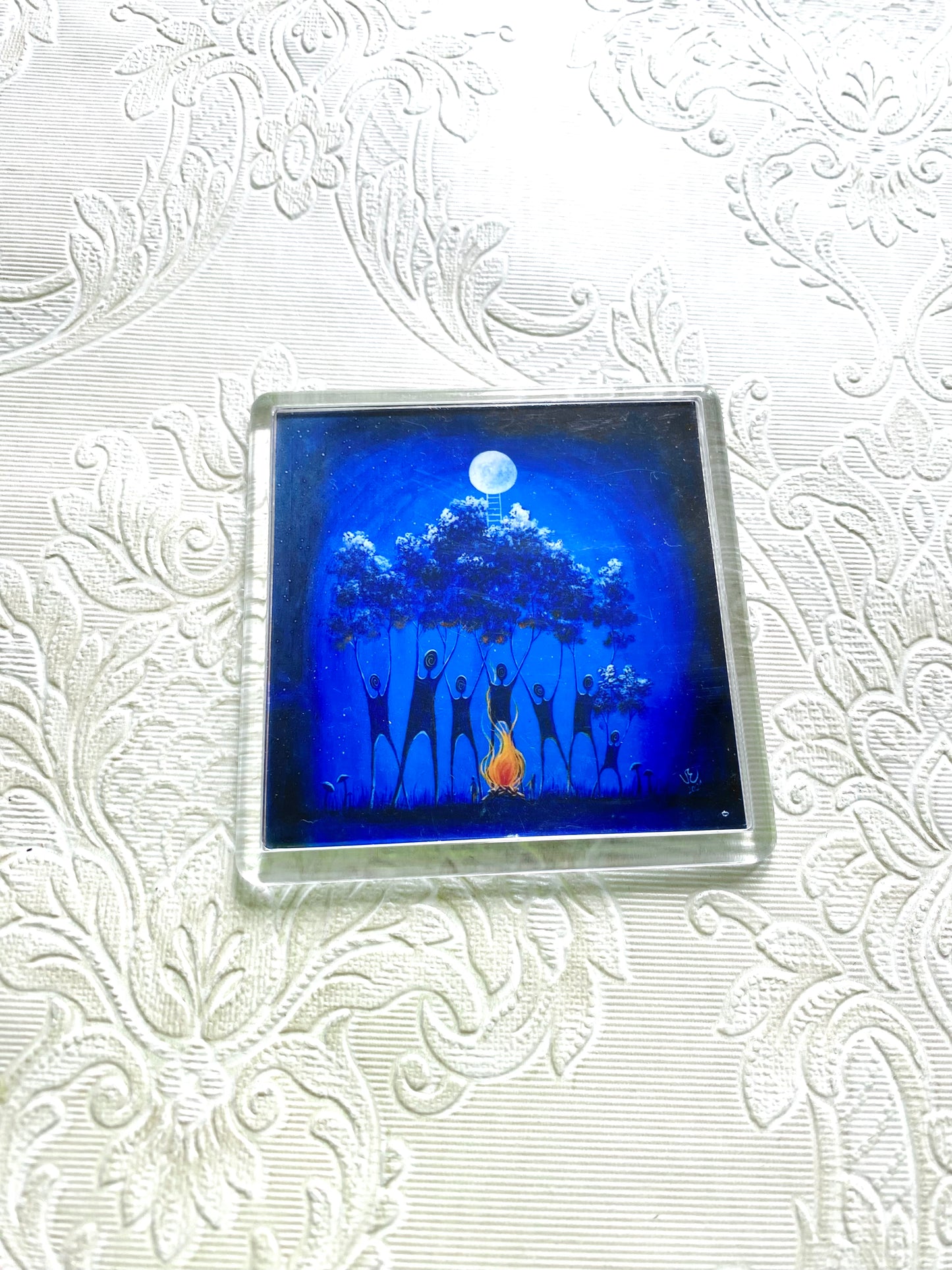 Plexi-Magnet / Magnet-Plexi-Tokkal