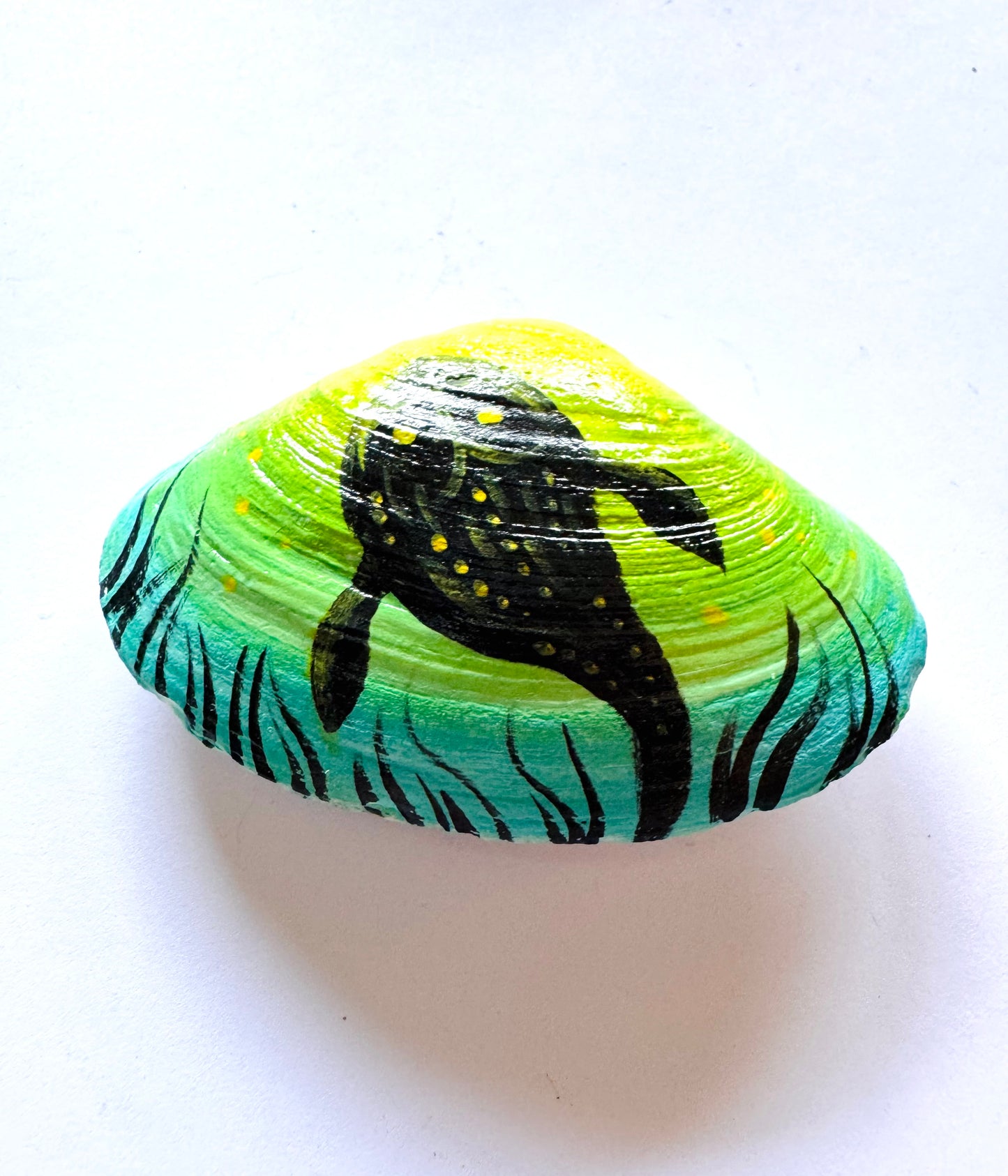 Hand-painted seashell MAGNET (larger size) / Kézzel festett kagyló MÁGNES (nagyobb méret)