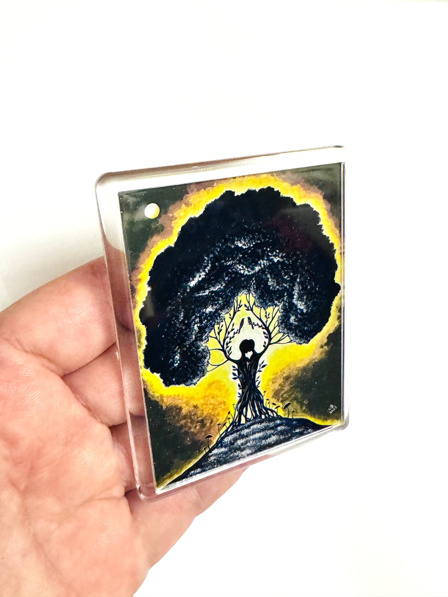 Plexi magnet / Mágnes plexi tokkal