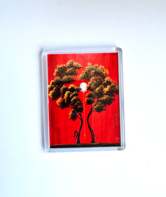 Plexi magnet / Mágnes plexi tokkal