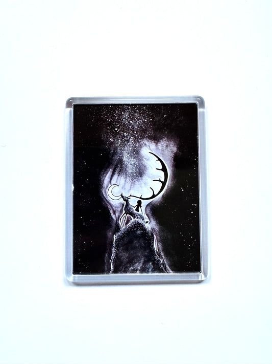 Plexi magnet / Mágnes plexi tokkal