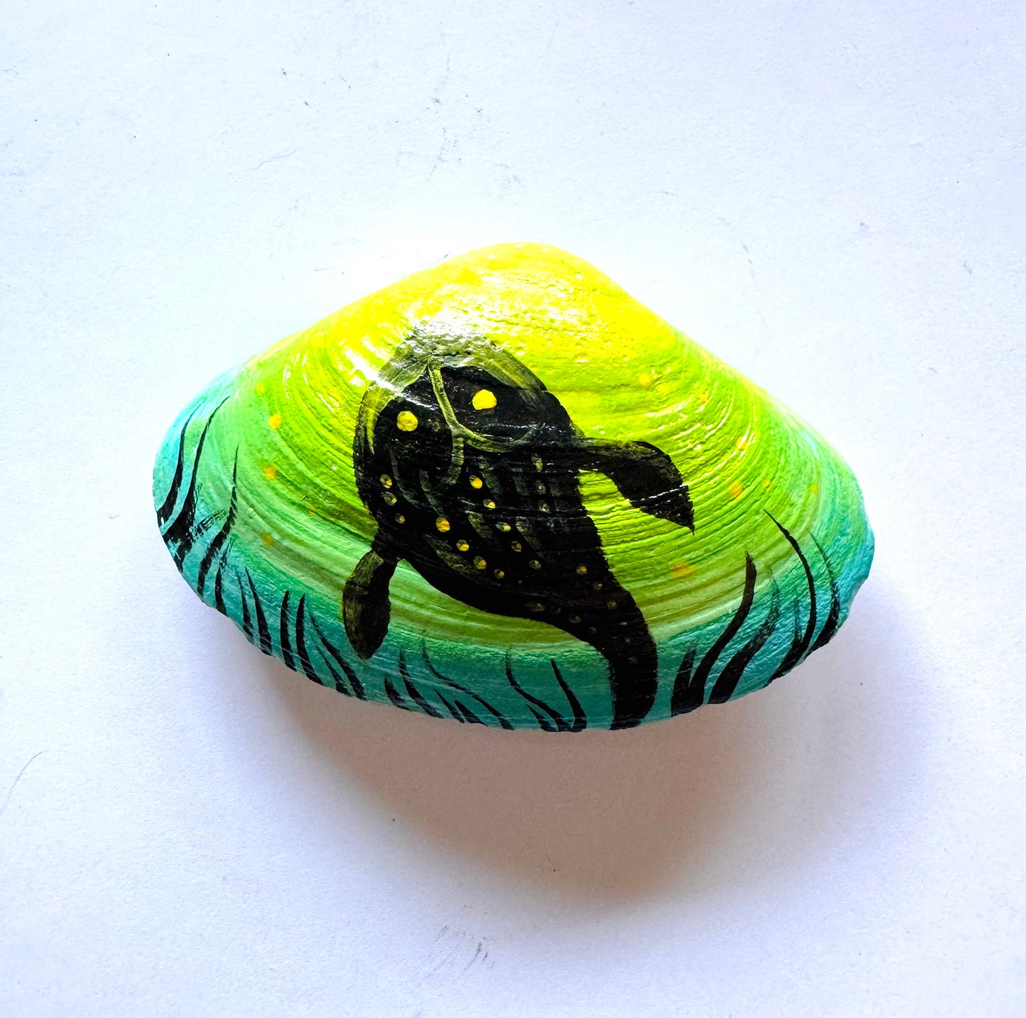 Hand-painted seashell MAGNET (larger size) / Kézzel festett kagyló MÁGNES (nagyobb méret)