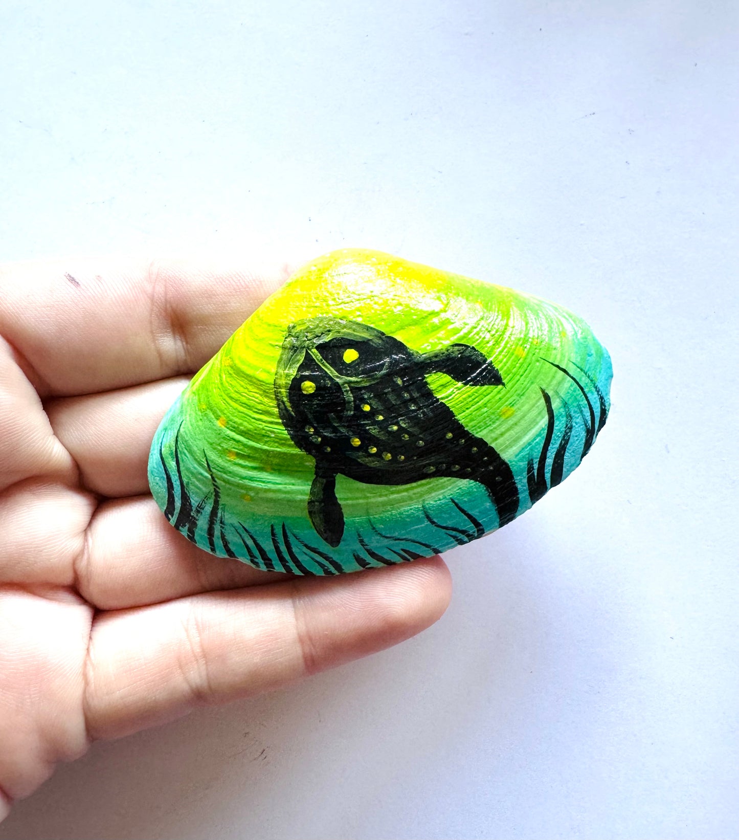 Hand-painted seashell MAGNET (larger size) / Kézzel festett kagyló MÁGNES (nagyobb méret)