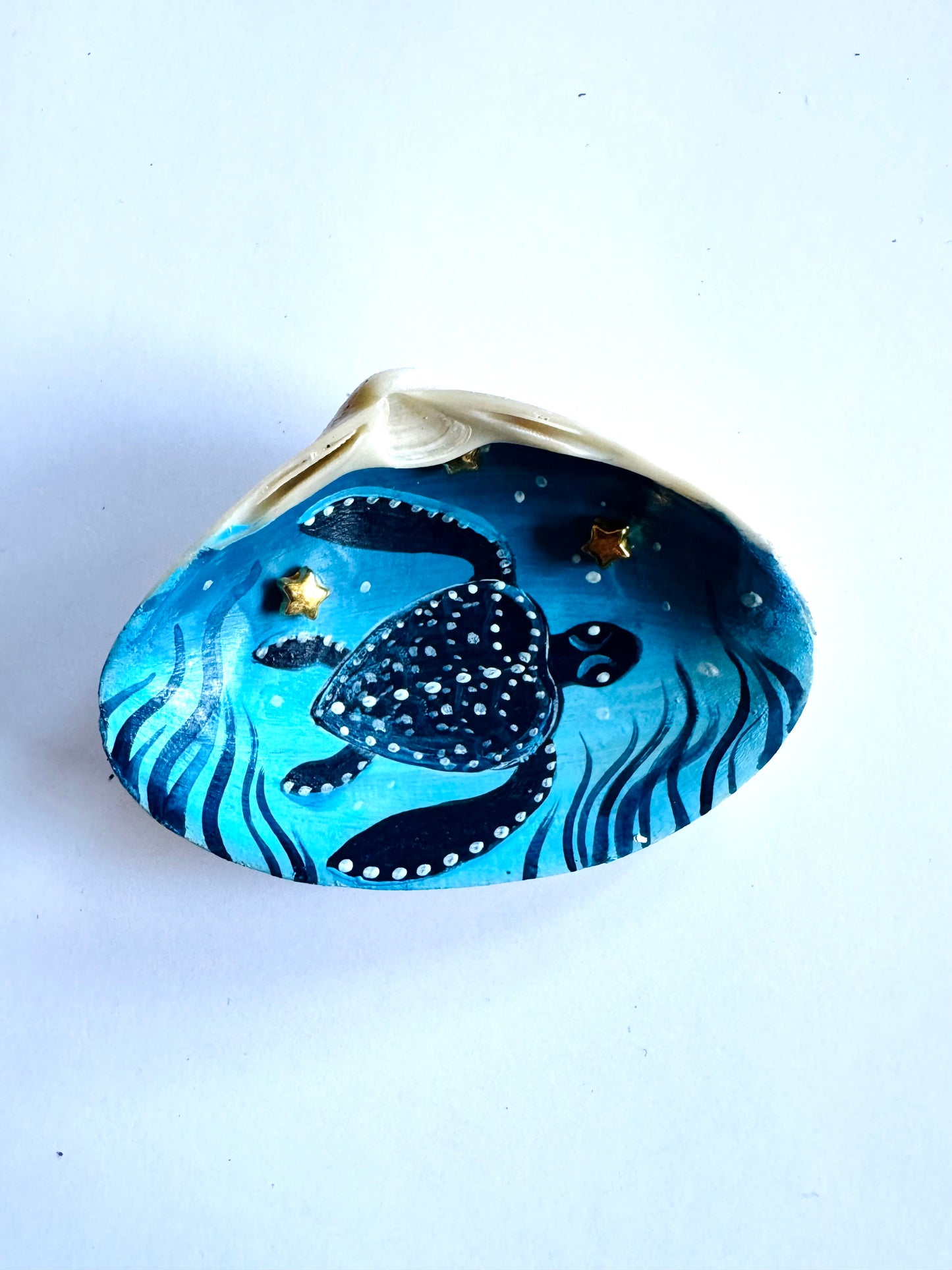 Kézzel festett kagylóhéj / Handpainted seashell